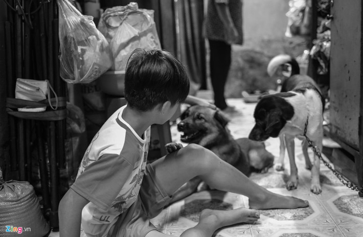 Bé Trần Quang Tuấn năm nay lên lớp 7. Tuấn và bà đều thích nuôi chó. Cách đây một năm, bà xin được cả hai con về nuôi làm bạn. Bà Anh bảo: "Thằng này tính nó lành mà nhát người lắm. Ai dữ là nó không chơi liền, nên có mấy con chó nó cũng vui lên nhiều lắm".