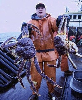 Cua hoàng đế Alaska trông có vẻ hơi kinh dị với cái đầu khổng lồ và 8 càng trông không khác gì một con nhện khổng lồ. Nhưng bù lại thịt cua hoàng đế rất ngon.