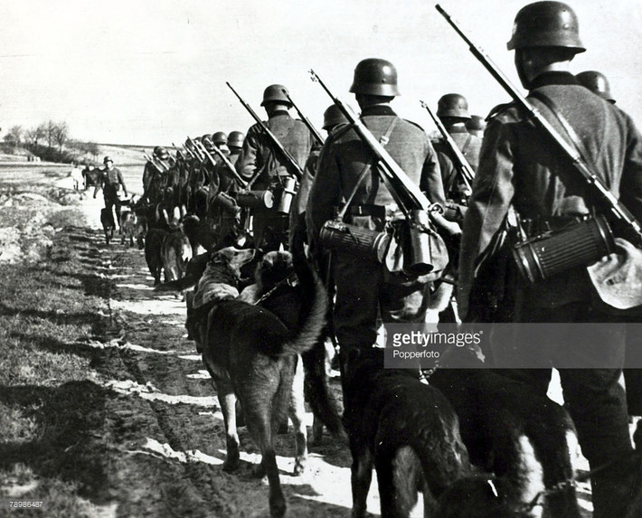 Lính Đức hành quân cùng chó nghiệp vụ ở chiến trường phía Tây, 1940. Ảnh: Getty.