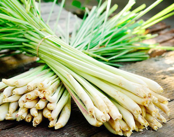 Sả Sả chứa một loại dầu gọi là citronella, có tác dụng xua đuổi côn trùng. Bạn có thể thêm sả vào các món Thái hay cà ri.