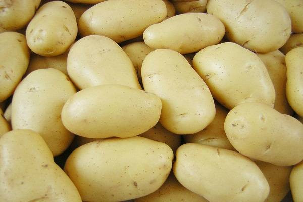 Khoai tây Thực phẩm giàu tinh bột này không chỉ tốt cho sức khỏe của trẻ mà nó còn là có công dụng đuổi muỗi cực hiệu quả. Vì trong khoai tây có chứa vitamin B làm thay đổi mùi trong máu khiến muỗi tránh xa. Mẹ có thể cho trẻ ăn khoai tây nghiền trộn sữa hoặc khoai tây xào thịt bò, canh hầm xương khoai tây....