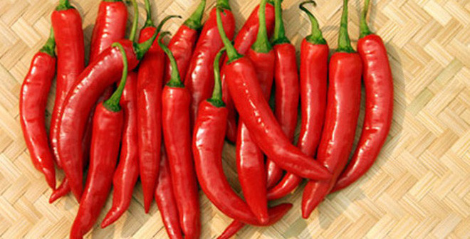 Ớt Ớt chứa capsaicin, một hợp chất tạo ra nhiệt giúp xua đuổi muỗi. Do đó hãy thêm ớt vào món ăn bạn nhé.