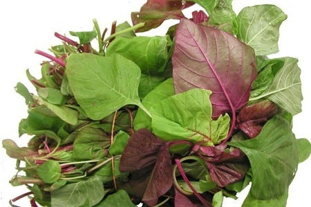 Rau dền Các nhà nghiên cứu cho rằng hàm lượng canxi trong rau dền cao hơn hẳn so với sữa bò. Không chỉ vậy, lượng vitamin K dồi dào trong rau dền giúp cơ thể hấp thụ canxi một cách hiệu quả.