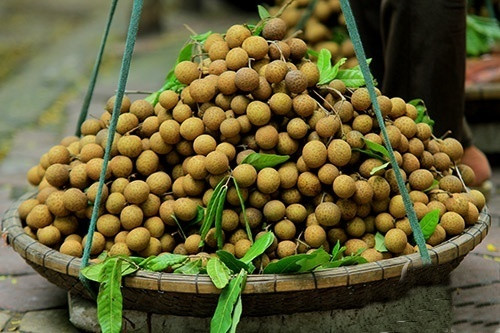Nhãn Theo Đông y, quả nhãn mùi thơm vị ngọt, thuộc tính ôn nhiệt, chứa nhiều khoáng chất, vitamin A, C, kali, photpho, magie và sắt nên rất tốt cho cơ thể nhưng đối với phụ nữ mang thai lại không nên ăn nhãn. Nguyên do là khi phụ nữ mang thai, thân nhiệt tăng lên nhất là trong 3 tháng đầu của thai kì, mà quả nhãn lại có tính nóng, phụ nữ mang thai ăn vào sẽ tăng nhiệt cho thai, dễ gây ra khí huyết không điều hòa, đầy hơi, nôn mửa, nếu ăn nhiều nhãn sẽ xuất hiện hiện tượng nhiệt, đau bụng, xuất huyết gây ra tình trạng dọa sảy, sảy thai, đẻ non.