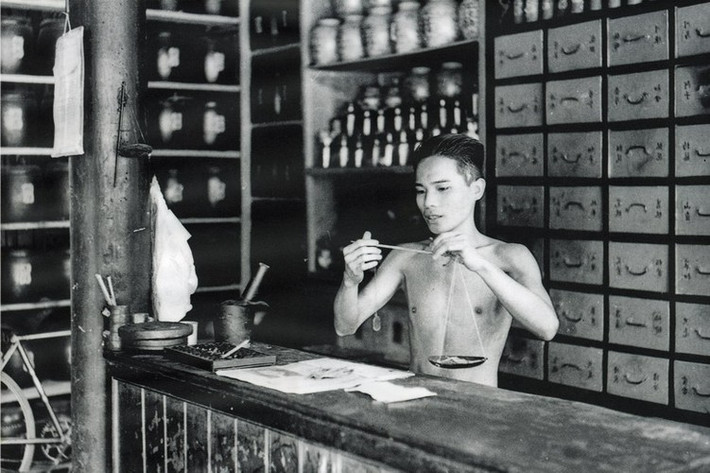 Trong một hiệu thuốc Đông y.