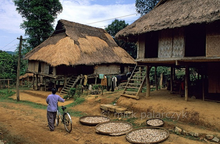 Con đường tại một bản làng của người Thái Trắng ở Mai Châu, Hòa Bình.