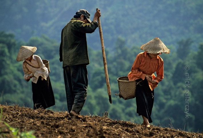 Gieo hạt ở thung lũng Nậm Mức, Lai Châu.