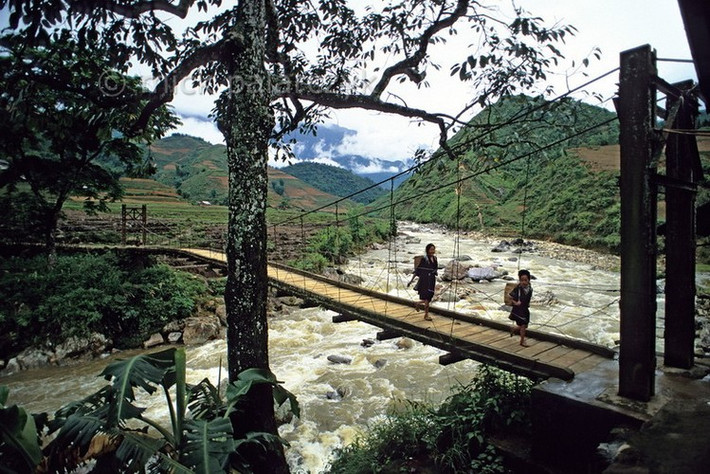 Cầu Mây bắc qua sông Mường Hoa, Sa Pa.
