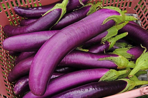 Cà tím Cà tím có chứa solanie, cucurbitacin, stachydrine, choline và các ancaloit, trong đó solanie, cucurbitacin là hai thành phần có tác dụng chống ung thư. Cà tím cũng rất giàu chất dinh dưỡng, vitamin A-C, protein và canxi.