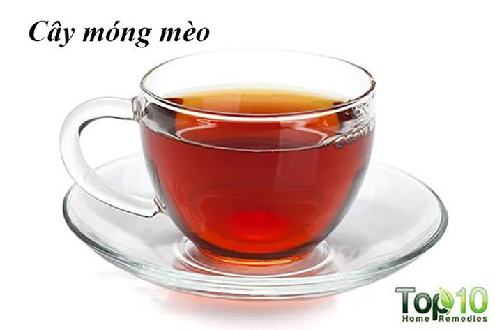 Cây móng mèo: Trong y học cổ truyền Trung Quốc, việc sử dụng cây móng mèo để điều trị bệnh cao huyết áp rất phổ biến. Ngoài ra, loại thảo dược này giúp ức chế sự kết tập tiểu cầu và hình thành cục máu đông, có hiệu quả trong việc ngăn chặn các cơn đau tim và đột quỵ.