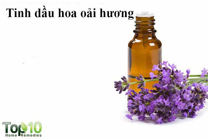 Tinh dầu hoa oải hương: Dầu hoa oải hương có thể tăng tốc độ tăng trưởng tóc. Khi masage vào da đầu, tinh dầu hoa oải hương cải thiện lưu thông máu cũng như ngăn ngừa rụng tóc và thúc đẩy sự phát triển của tóc. Nó cũng giúp giữ cho da đầu được dưỡng ẩm, cân bằng sản xuất bã nhờn và giúp chống lại gàu.