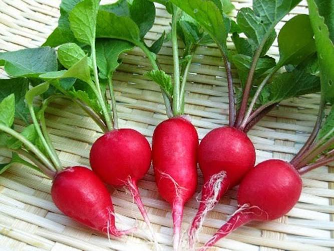 Rễ củ cải đỏ: là một nguồn dinh dưỡng chứa nhiều mangan. Nó giúp đốt cháy chất béo, điều chỉnh lượng đường trong máu của bạn. Một phần trung bình chỉ là 40 kcal.
