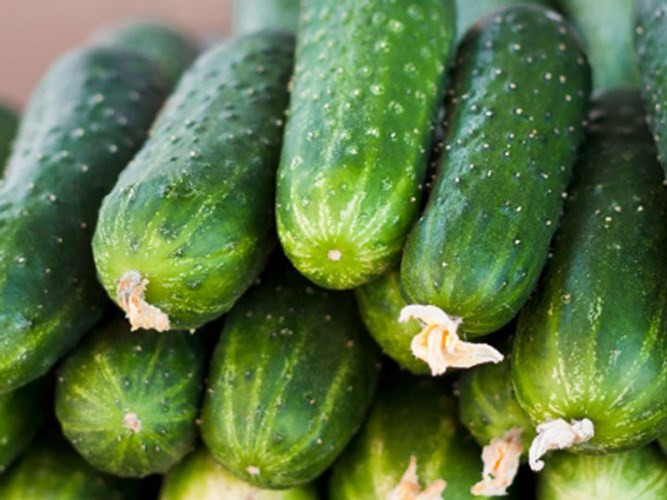 Quả bí: Một phần quả bí chứa khoảng 42 kcal. Nó bình thường hóa tỷ lệ muối / nước của bạn, cải thiện chức năng ruột và cũng có thể được sử dụng để giảm năng lượng của các món ăn chính.