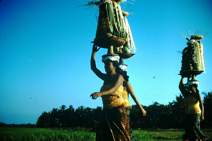 Những người phụ nữ rước mâm cỗ cúng đến đền thờ. Ảnh: Found Slides.