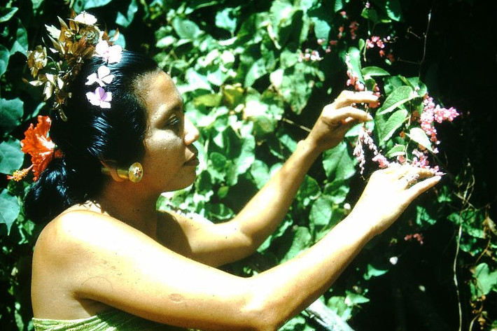 Người đẹp Bali hái những nhành hoa ti gôn. Ảnh: Found Slides.