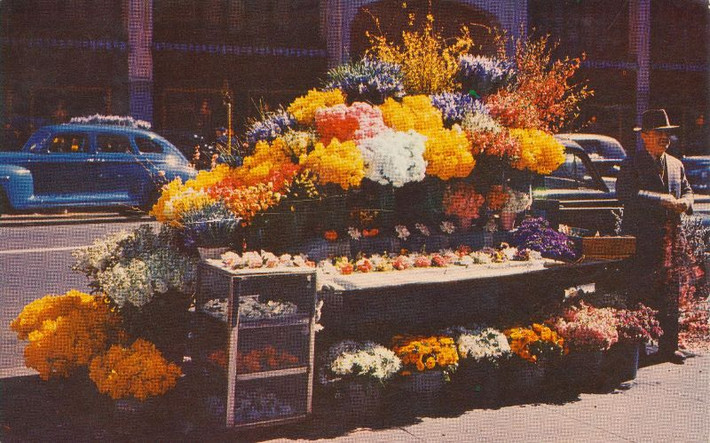 Một quầy hàng hoa trên vỉa hè San Francisco. Ảnh: Vintag.
