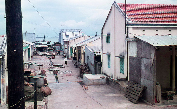 Khu dân cư gần chợ cá. Ảnh: Mike Vogt.