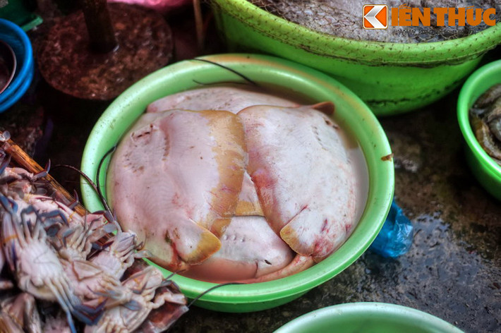 Tại đây, khách phương có thể tận mắt ngắm nhìn, chọn mua nhiều loại cá “lạ” chỉ có bán ở các khu chợ vùng biển như cá mập, cá đuối... Nếu đi chợ buổi sớm, có thể thấy nhiều loại hải sản còn ngoe nguẩy hay giãy đành đạch.