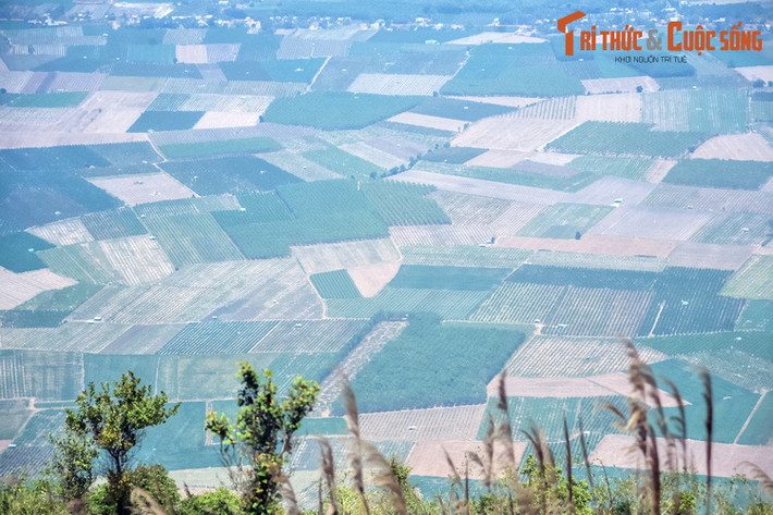 Những thửa ruộng mênh mông của mảnh đất Tây Ninh nhìn từ núi Bà Đen. Không chỉ được chiêm ngưỡng những cảnh quan tuyệt vời, đặt chân lên "nóc nhà của Nam Bộ", du khách còn được tận hưởng bầu không khí mát rượi, vô cùng sảng khoái.