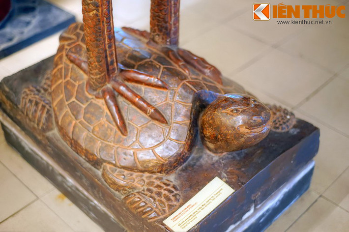 Đến năm 1427, cuộc khởi nghĩa Lam Sơn giành thắng lợi, Lê Lợi lên ngôi vua, lập ra nhà Hậu Lê. Nhớ lại công lao của con vẹt khi xưa, ông đã lệnh cho tạc tượng rùa đội vẹt để thờ.