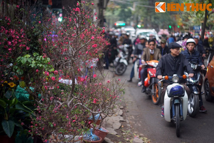 Chơi hoa đào Tết là một tục lệ có từ lâu đời ở miền Bắc Việt Nam, ngày nay đã hiện diện ở mọi miền đất nước. Phía sau nét đẹp văn hóa này là một truyền thuyết đã có từ xa xưa.