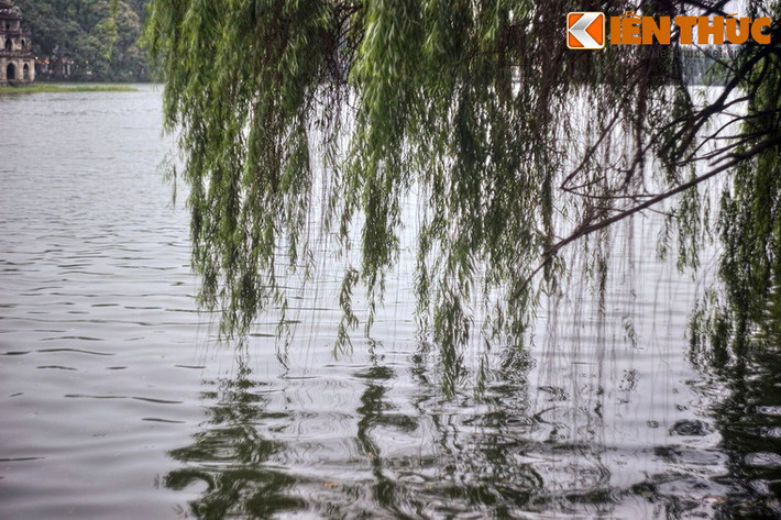 Hoặc những chiều thu đẹp như mơ, khi các cặp đôi hẹn hò trên ghế đá, cùng ngắm nhìn mặt hồ thơ mộng rợp bóng cây…