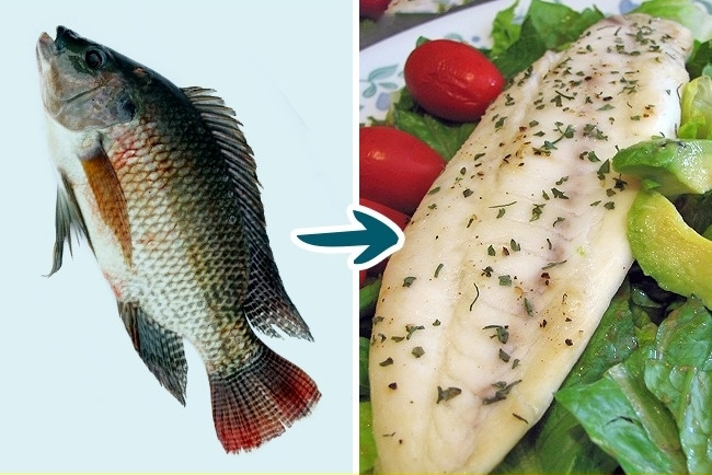 4. Cá rô phi Cá rô-phi không chứa nhiều axit béo có lợi, nhưng lại tập trung nhiều axit béo có hại không khác gì mỡ lợn. Ăn quá nhiều cá rô-phi có thể làm tăng cholesterol, khiến cơ thể dễ bị dị ứng. Người bị bệnh tim, hen suyễn và viêm khớp được khuyên là không nên ăn nhiều cá rô-phi.