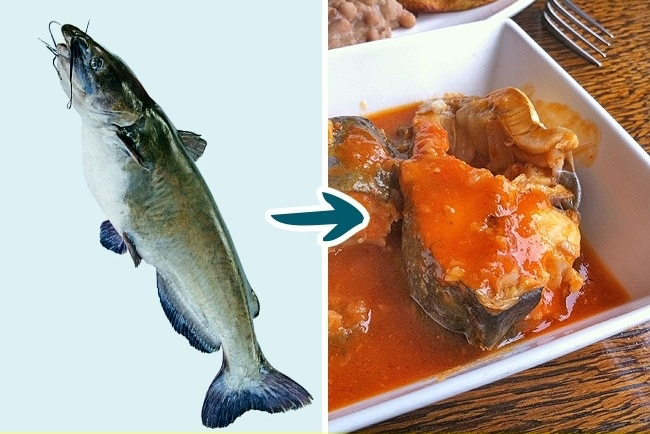 1. Cá da trơn Bản thân các loại cá da trơn có kích thước khá to. Nhưng để tăng nhanh kích thước của cá, một số người nuôi cho cá ăn hóc-môn. Vì thế, những con cá được nuôi tự nhiên thì ít nguy hiểm và giàu dưỡng chất hơn những con bị kích lớn.