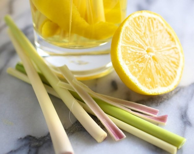 Tinh dầu sả: Trộn một muỗng canh dầu với 453 g sả, lắc đều và phun trực tiếp vào ruồi và những nơi nhiều ruồi. Mặc dù không giết ruồi trực tiếp, nhưng tinh dầu sả sẽ làm giảm khả năng bay của ruồi và tiêu diệt chúng dễ dàng hơn.