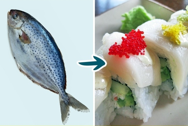 8. Cá sáp dầu Cá này chứa gempylotoxin, một loại độc tố không thể chuyển hóa. Độc tố này không gây hại nhiều, nhưng sẽ gây khó tiêu. Bạn có thể chiên hoặc nướng để làm giảm lượng gempylotoxin trong cá. Những người mắc bệnh đường tiêu hóa thì không nên ăn món này.