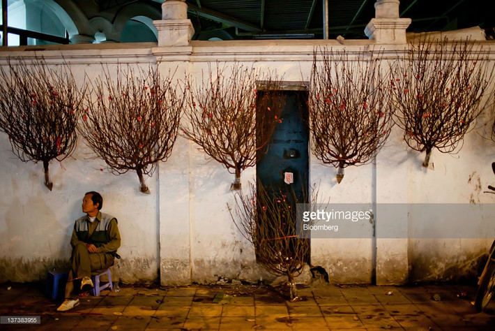 Một góc chợ hoang Hàng Lược, Hà Nội ngày 19/1/2012. Ảnh: Getty.