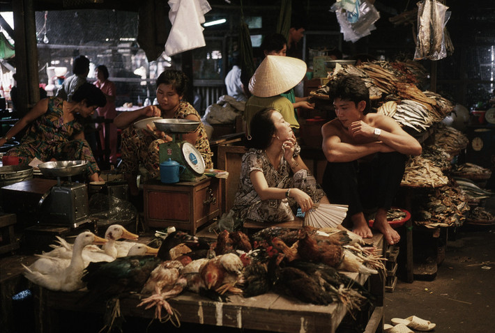 Quầy bán gà vịt sống ở chợ. Ảnh: Harry Gruyaert - Magnumphotos.com