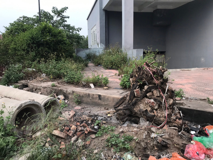 Rác thải bủa vây xung quanh các tòa nhà tái định cư Đền Lừ III.
