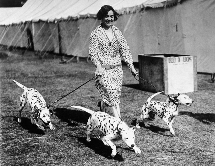 Bà chủ hạnh phúc cùng ba chú chó đốm sau khi giành giải nhất cuộc thi chó London năm 1929. Ảnh: Vintag.