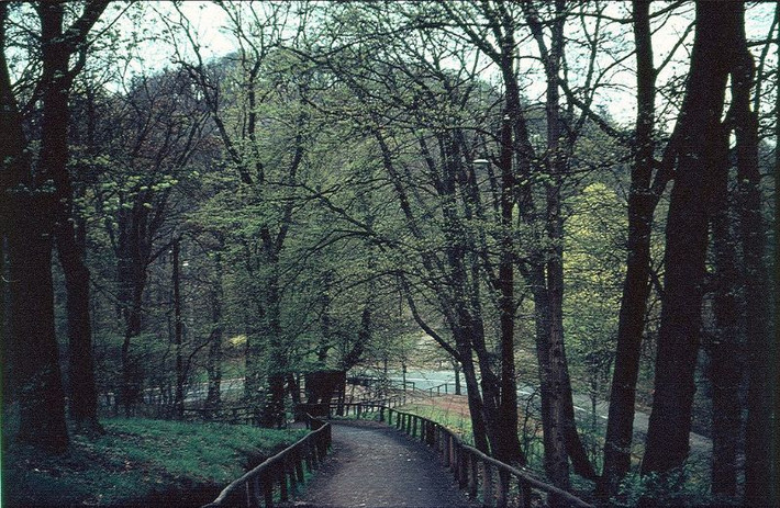 Đường đến lâu đài Wartburg. Ảnh: Normann Flickr.