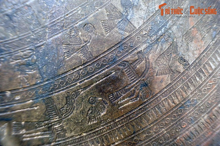 Các loài chim có sự hiện diện rất phong phú trên mặt trống đồng Ngọc Lũ. Ngoài chim lạc còn có các loài chim nhỏ hơn, được thể hiện trong nhiều tư thế khác nhau.