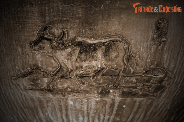 Thuần đỉnh, chiếc đỉnh thứ 6 trong Cửu Đỉnh có hình tượng “Ly ngưu”, nghĩa là con bò tót. Trong Sách Đỏ Việt Nam, bò tót là loài Nguy cấp. Số lượng bò tót ở Việt Nam còn khoảng vài trăm con. Chúng đang phải đối mặt với nhiều nguy cơ như săn trộm, xung đột với con người, dịch bệnh...