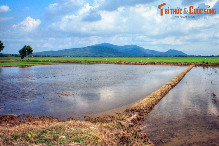 Bảy Núi hay Thất Sơn là tên gọi dân gian của một quần thể gồm bảy ngọn núi nổi lên giữa vùng đồng bằng rộng lớn ở hai huyện Tri Tôn, Tịnh Biên, tỉnh An Giang.