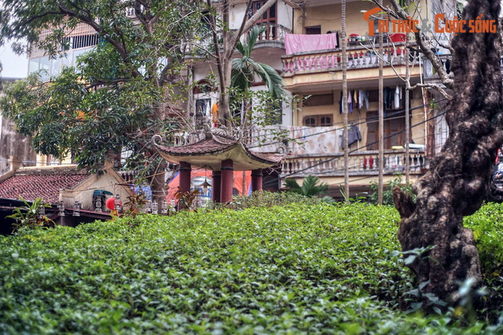 Trên cơ sở thông tin có được từ Ngọc Hoa, Thái úy Lý Thường Kiệt đã họp các tướng và giao nhiệm vụ rồi định giờ xuất quân. Dưới sự chỉ dẫn của cô gái nhỏ, quân ta đại thắng, giặc Chiêm bị đẩy lùi khỏi bờ cõi.