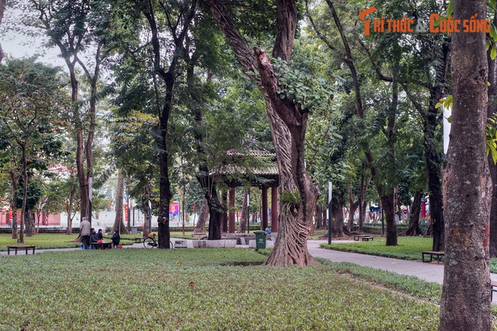 Do phía trước tượng đài có tượng anh thợ cày gánh cày chìa vôi đi sau con trâu, nên người Hà Nội gọi đây là tượng đài Canh Nông (“canh” là cày, “nông” là nghề nông). Vườn hoa Robin từ đó cũng được gọi là vườn hoa Canh Nông.