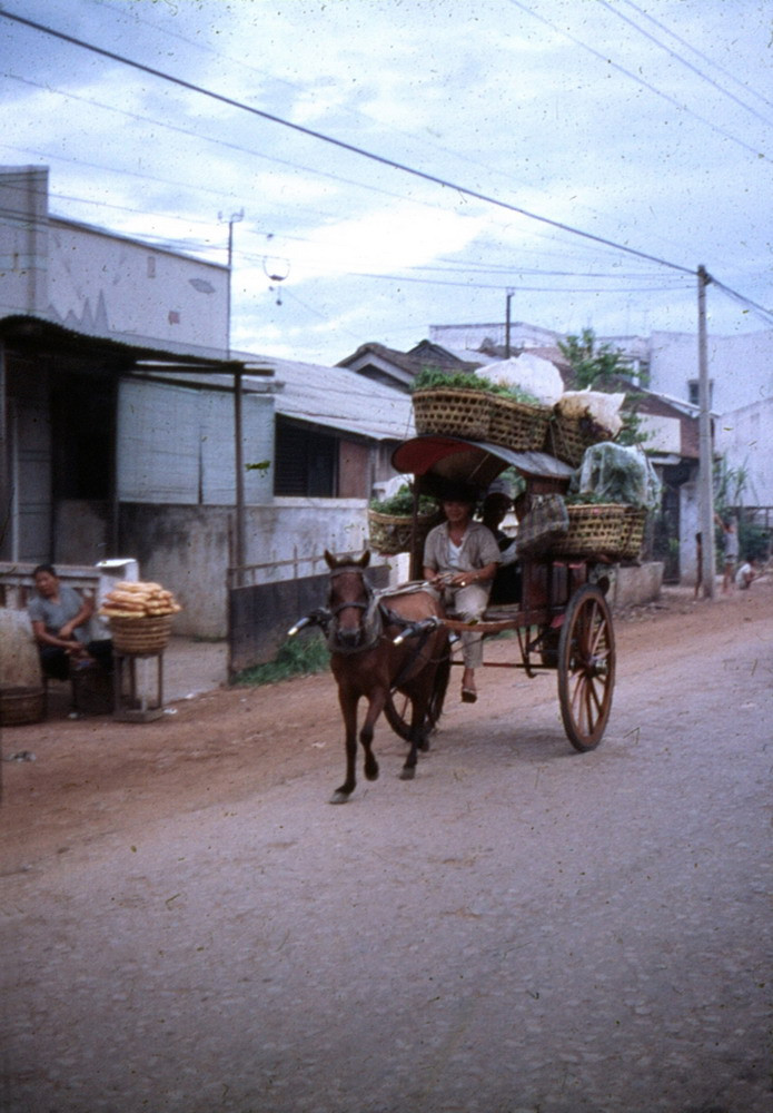 Xe ngựa trên đường phố Sài Gòn.