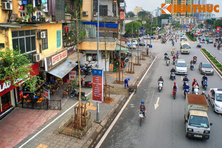 Cụ thể, văn bản của Sở Xây dựng do Giám đốc Sở Xây dựng Hà Nội Lê Văn Dục ký nêu rõ: "Tuyến đường Nguyễn Chí Thanh được trồng bằng cây vàng tâm, đây là cây có giá trị, nằm trong sách đỏ, cần phải bảo tồn và phát triển.