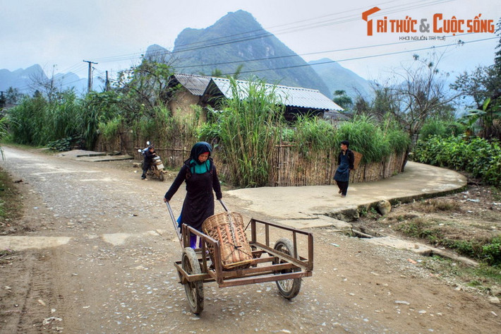 Các cư dân Phố Cáo sống chủ yếu bằng nghề nông với hai hình thức canh tác là trồng lúa nước và ruộng nương. Ngoài ra họ còn có một số nghề thủ công truyền thống như dệt thổ cẩm, đan lát, rèn đúc…