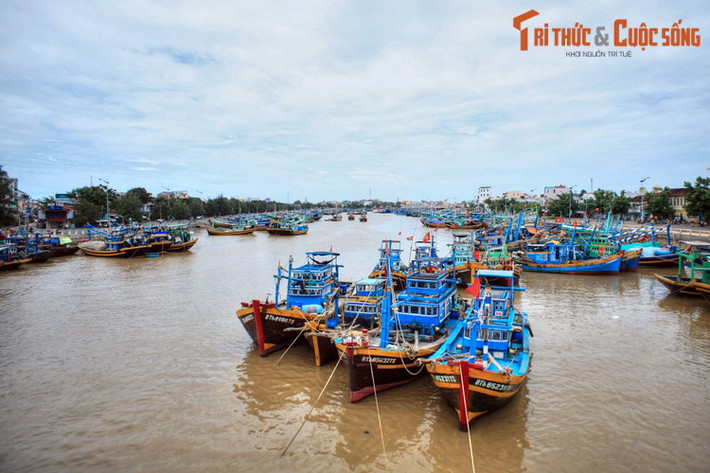 Những con thuyền đánh cá màu xanh nằm san sát nhau trên mặt nước phẳng lặng là hình ảnh quen thuộc ở cửa biển Cồn Chà. Ngư nghiệp là một ngành kinh tế quan trọng của cư dân Phan Thiết.
