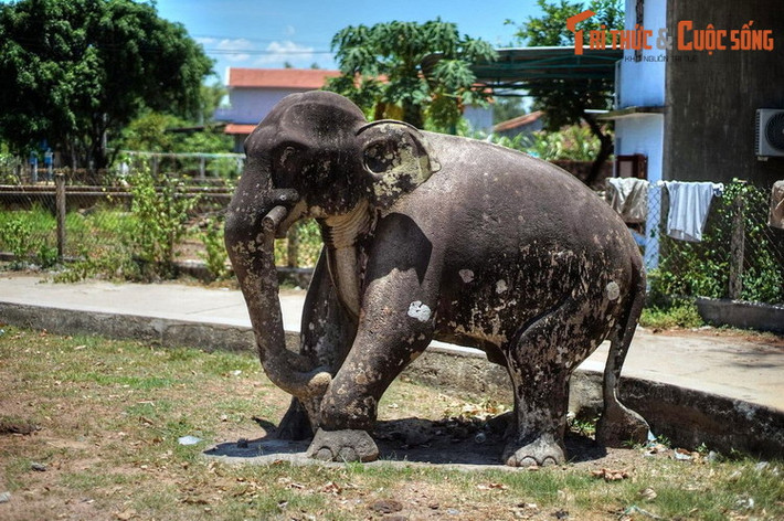 Tượng voi đá của người Chăm ở thành cổ Đồ Bàn, kinh đô của vương quốc Champa từ năm 999 đến 1471, nay nằm ở thị xã An Nhơn, tỉnh Bình Định. Bức tượng này cao tới 2 mét, là tượng voi lớn nhất từng được biết tới của điêu khắc Chăm.