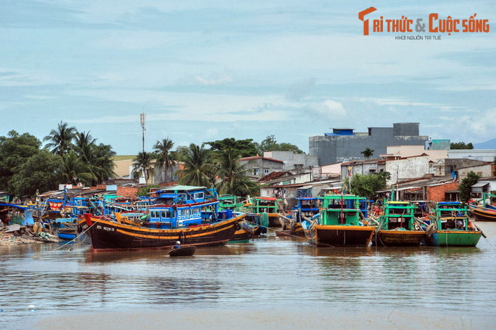 Với chiều dài 65 km, dòng sông này tạo nên nhiều khung cảnh đẹp cho thành phố vùng Nam Trung Bộ. Đó là vẻ bình yên của những ngôi nhà ẩn sau vườn cây xanh tốt, hay những con thuyền màu sắc tươi sáng neo đậu bên bờ sông.