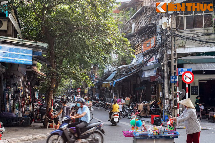 Phố Thuốc Bắc là con phố dài khoảng 330 m, kéo dài từ phố Hàng Mã đến phố Hàng Thiếc ở trung tâm khu phố cổ Hà Nội. Phần lớn phố này xưa là đất thôn Đông Thành, đoạn cuối (mạn Hàng Bồ) là thôn Nhân Nội, thuộc tổng Tiền Túc (sau đổi là tổng Thuận Mỹ), huyện Thọ Xương.