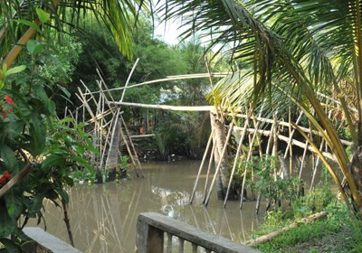 Chiếc cầu tre gần nhà kình ngư Ánh Viên.