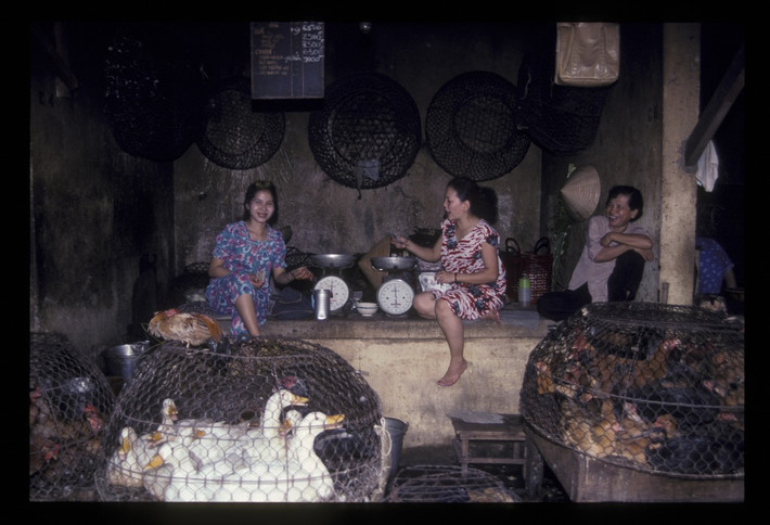 Khu bán gà vịt trong chợ Bến Thành.