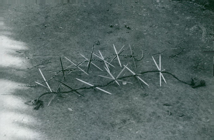 Các mẫu "dây thép gai" tự chế của quân Giải phóng, 1964.